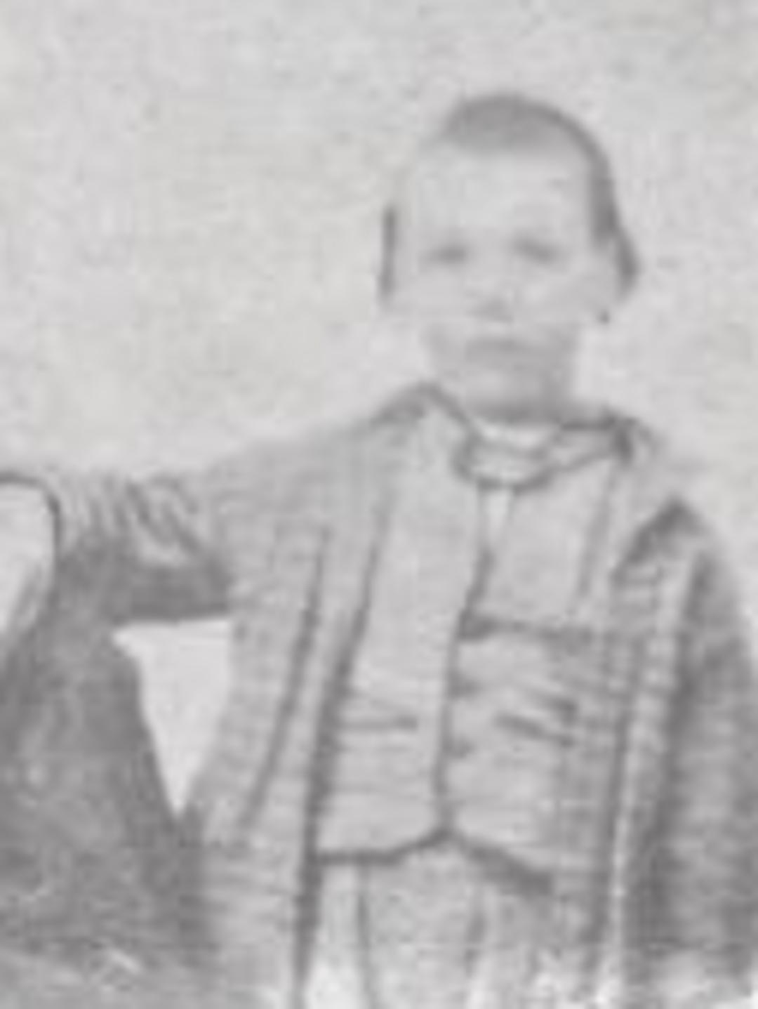 Edgar Leonidas Clark (1848 - 1921) Profile